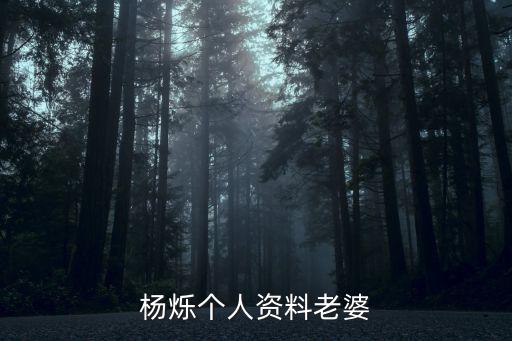 楊爍個人資料老婆