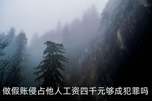 元達，做假賬侵占他人工資四千元夠成犯罪嗎