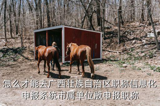 職稱申報系統，個人職稱評定系統中電子檔案系統找不到該程序怎樣辦