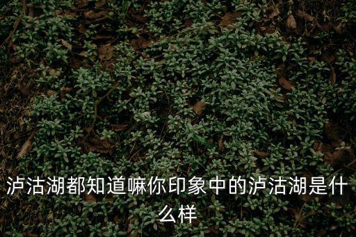 瀘沽湖景區，瀘沽湖都知道嘛你印象中的瀘沽湖是什么樣