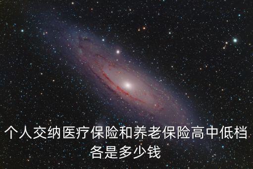 個人交納醫療保險和養老保險高中低檔各是多少錢