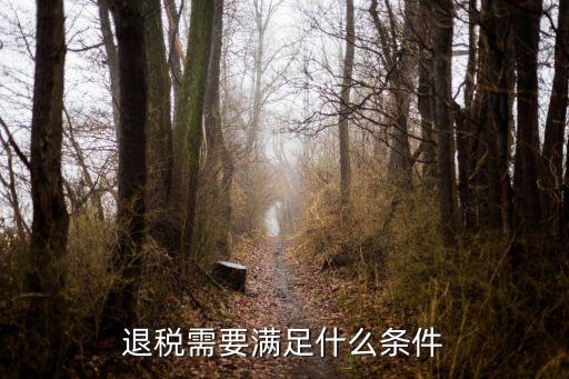 退稅需要滿足什么條件