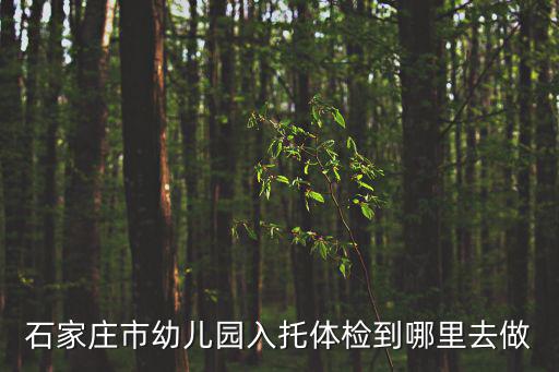 石家莊市幼兒園入托體檢到哪里去做