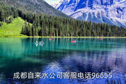 成都自來(lái)水公司，成都自來(lái)水表廠(chǎng)在那里