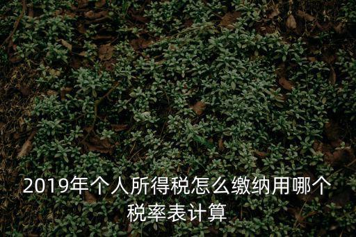 2019年個人所得稅怎么繳納用哪個稅率表計算