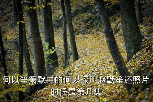 何以笙簫默中的何以琛叫趙默笙還照片時(shí)候是第幾集