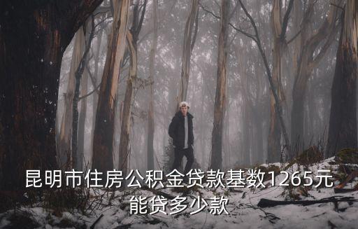 昆明市住房公積金貸款基數(shù)1265元能貸多少款
