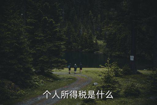 個人所得稅是什么