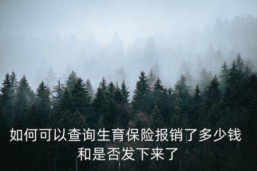 如何可以查詢生育保險報銷了多少錢 和是否發下來了