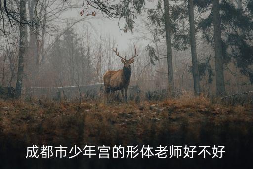 成都市少年宮的形體老師好不好