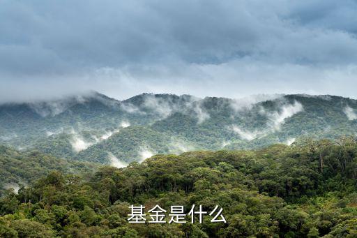 基金是什么