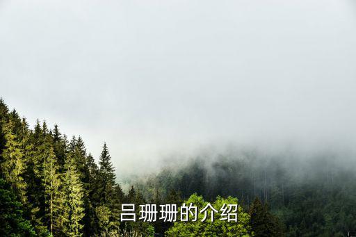 呂珊珊的介紹