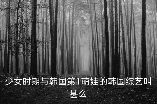 少女時(shí)期與韓國第1萌娃的韓國綜藝叫甚么