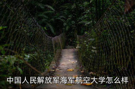 中國人民解放軍海軍航空大學怎么樣