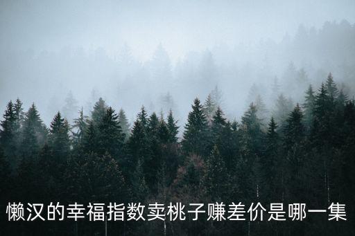 懶漢的幸福指數(shù)賣桃子賺差價是哪一集