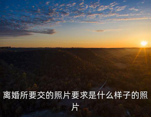 離婚照片，離婚所要交的照片要求是什么樣子的照片