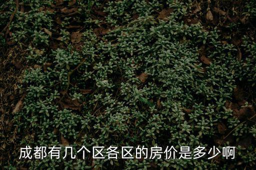 成都錦江區房價，成都市錦江區大觀里房價多少錢一平米啊25到3環之間