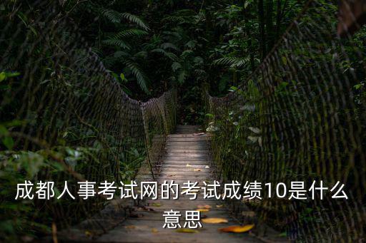 成都人事考試網(wǎng)的考試成績10是什么意思