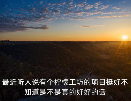 最近聽人說有個檸檬工坊的項目挺好不知道是不是真的好好的話