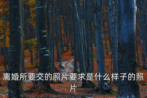離婚所要交的照片要求是什么樣子的照片