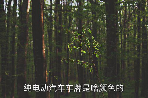 新能源汽車車牌，新能源汽車牌照和普通牌照有區別嗎
