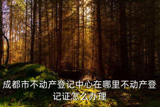 市不動產登記中心，誰了解石家莊市不動產登記中心怎么樣呢