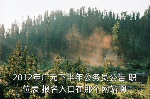 廣元市人事考試網，2012年廣元下半年公務員公告 職位表 報名入口在那個網站啊