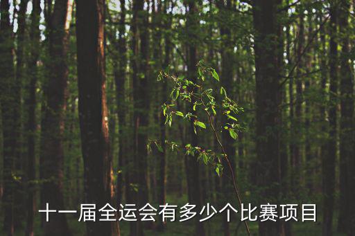 全運(yùn)會賽程，全運(yùn)會男籃賽程遼籃今日對誰幾點(diǎn)打