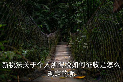 最新個人所得稅，上海市最新的個人所得稅計算方法
