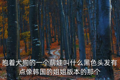 抱著犬狗的一個(gè)萌娃叫什么黑色頭發(fā)有點(diǎn)像韓國的姐姐版本的那個(gè)