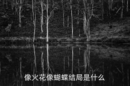 像火花像蝴蝶結(jié)局是什么