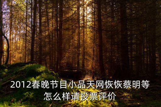 天網2012，2012春晚節目小品天網恢恢蔡明等怎么樣請投票評價