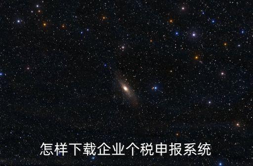 怎樣下載企業個稅申報系統