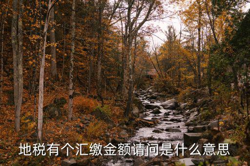 地稅有個(gè)匯繳金額請(qǐng)問(wèn)是什么意思