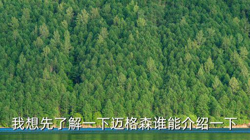 我想先了解一下邁格森誰能介紹一下