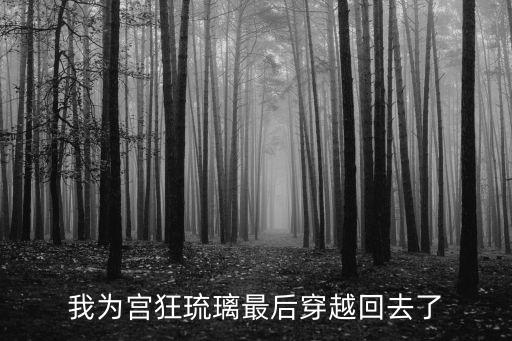 我為宮狂琉璃最后穿越回去了