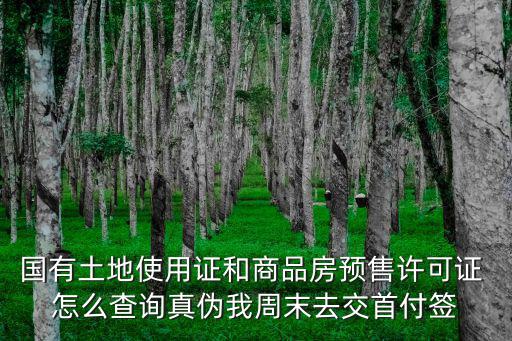 預售證查詢系統，預售購房合同怎么查詢購房合同號