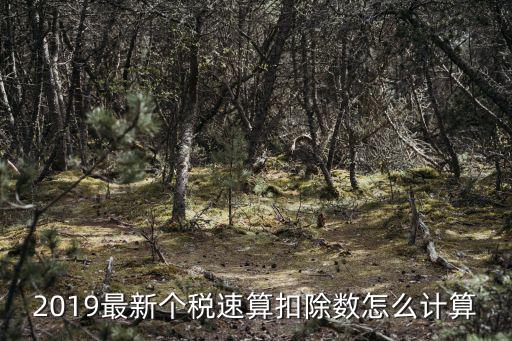 個稅速算扣除表，2019最新個稅速算扣除數(shù)怎么計(jì)算