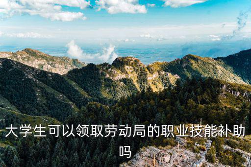 職業技能補貼，國企單位可以申請技能提升補貼嗎