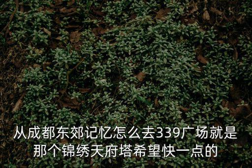 錦繡天府塔，華陽到錦繡天府塔要好久