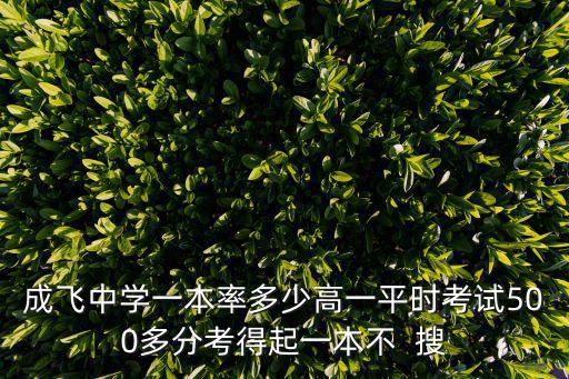 成飛中學一本率多少高一平時考試500多分考得起一本不  搜