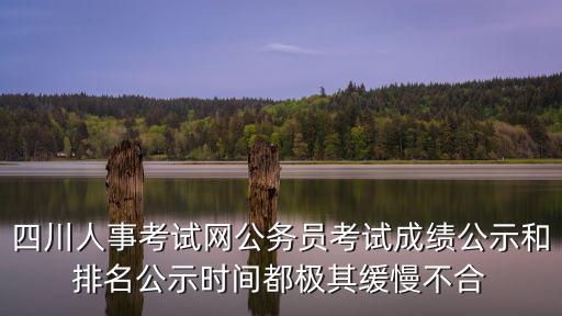 四川省人事考試網，四川人事考試網2012國考報名確認及繳費入口