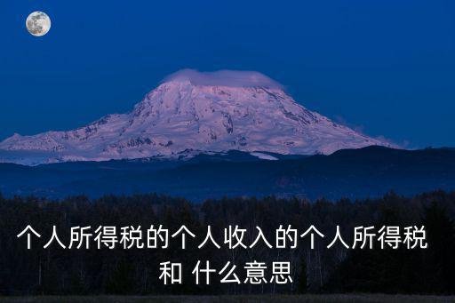 個人所得稅的個人收入的個人所得稅 和 什么意思