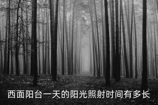 西面陽臺一天的陽光照射時間有多長