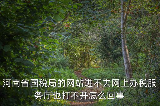 網(wǎng)上報(bào)稅服務(wù)大廳，河南省國(guó)稅局的網(wǎng)站進(jìn)不去網(wǎng)上辦稅服務(wù)廳也打不開(kāi)怎么回事
