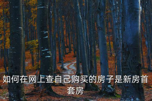 如何在網上查自己購買的房子是新房首套房