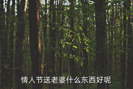 情人節(jié)送老婆什么，情人節(jié)送老婆什么東西好呢