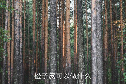 橙子皮可以做什么