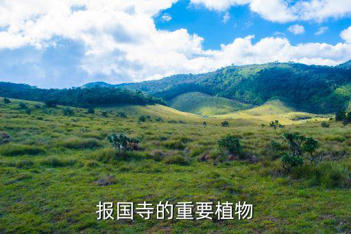 報(bào)國寺的重要植物