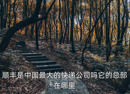 順豐是中國最大的快遞公司嗎它的總部在哪里